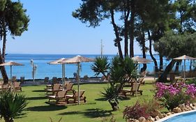 Aroma Beach Bungalows